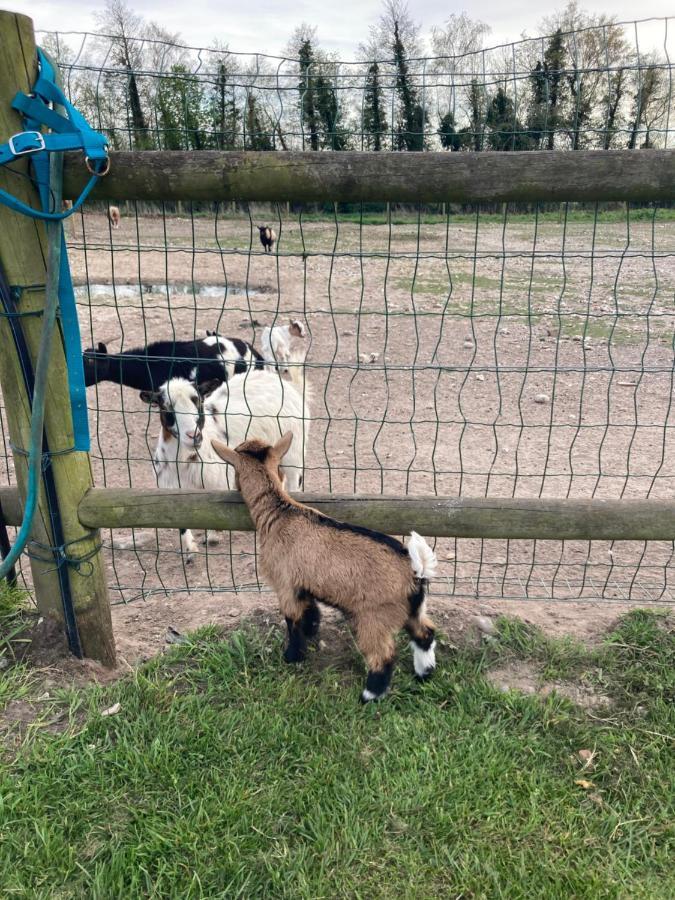 Chambres Dhotes A La Ferme Forest-Montiers Zewnętrze zdjęcie