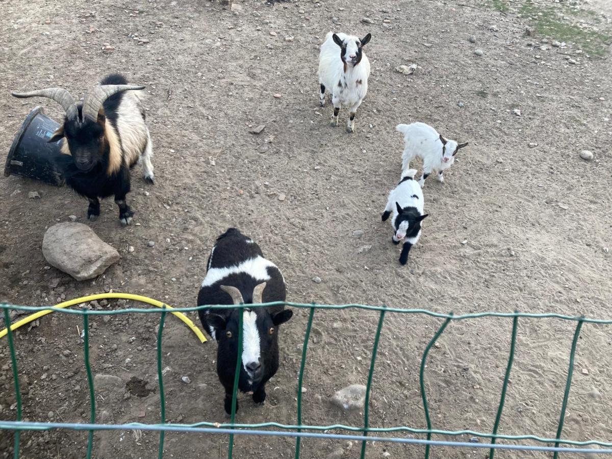 Chambres Dhotes A La Ferme Forest-Montiers Zewnętrze zdjęcie
