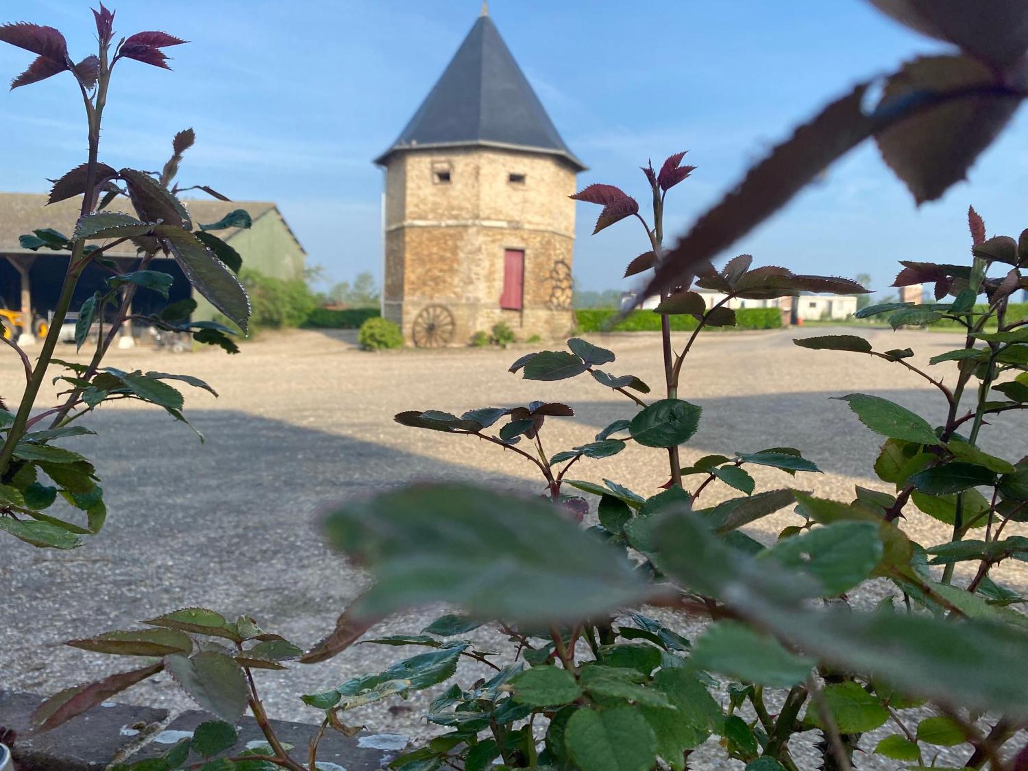 Chambres Dhotes A La Ferme Forest-Montiers Zewnętrze zdjęcie