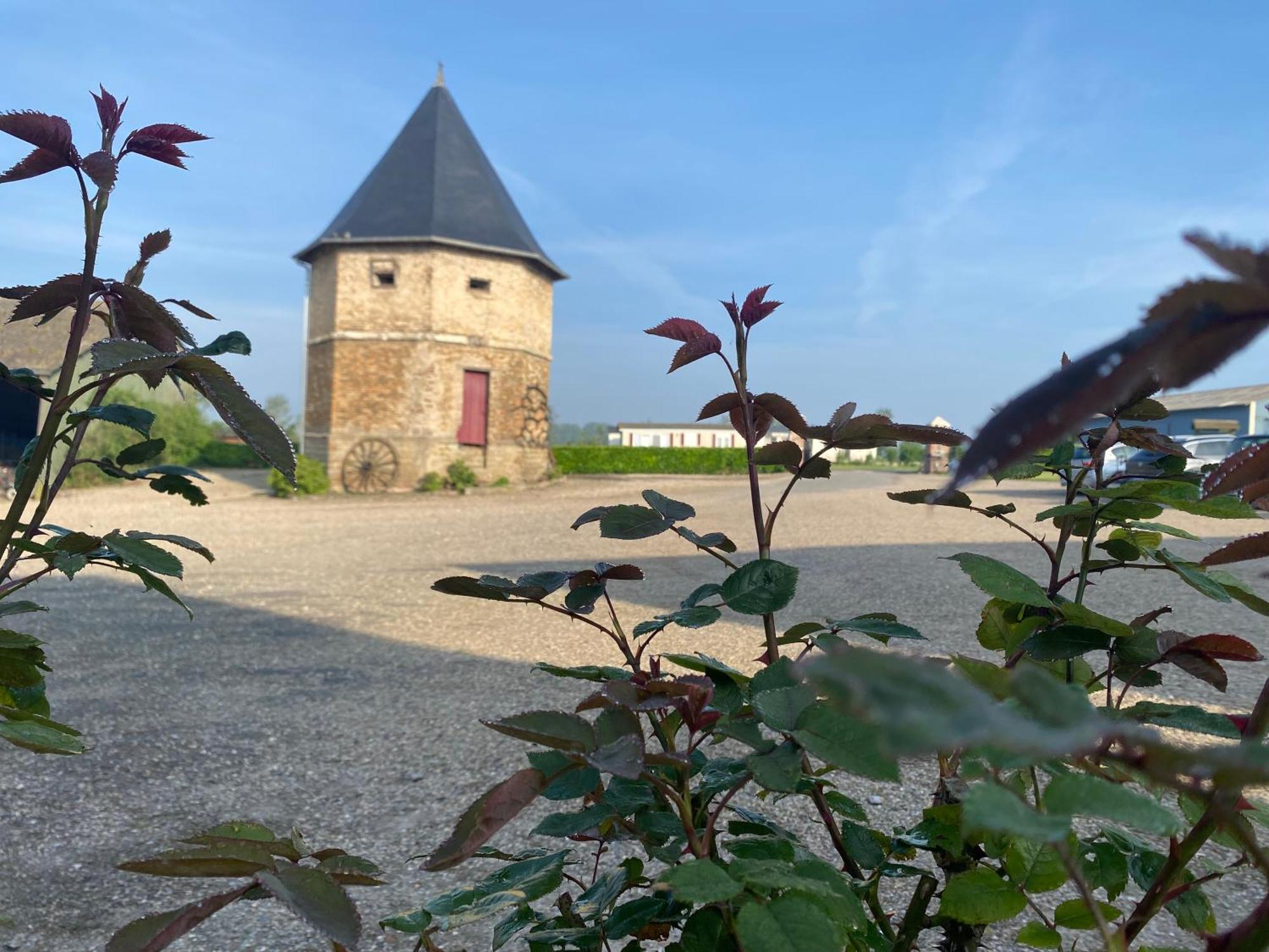 Chambres Dhotes A La Ferme Forest-Montiers Zewnętrze zdjęcie